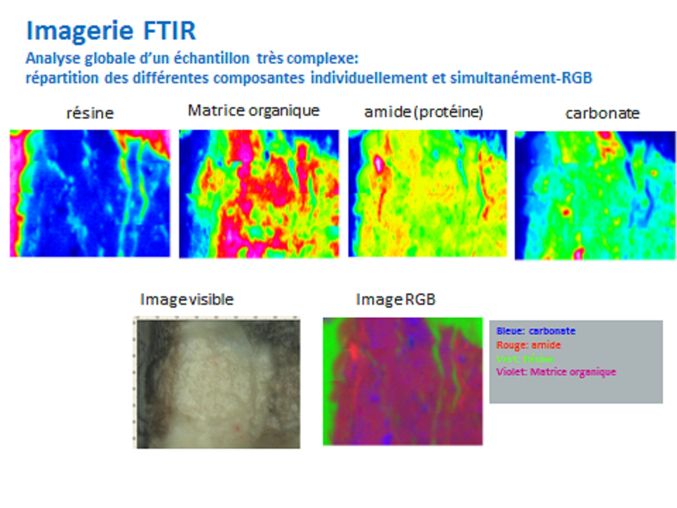 Diapositive imagerie