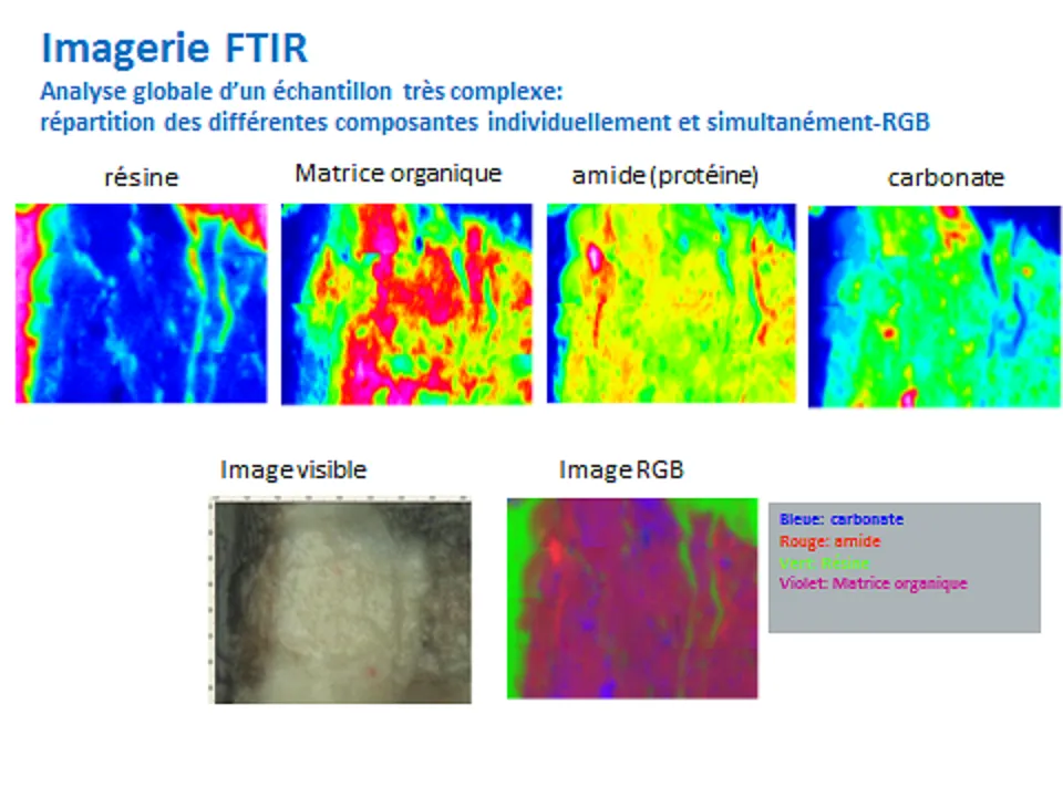 Diapositive imagerie